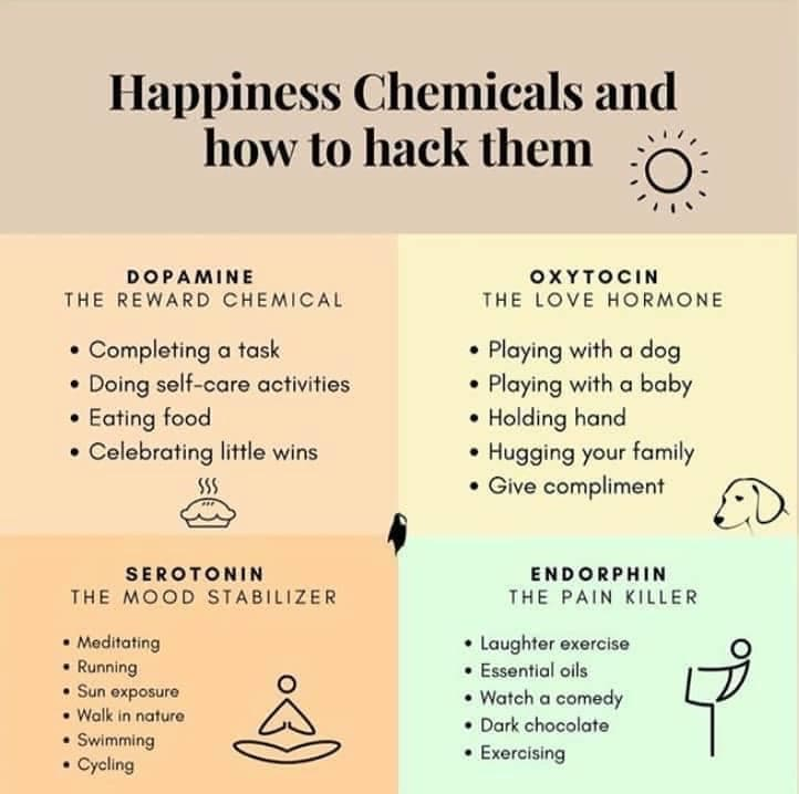 dpopamine, oxytocin, serotonin, endorphin