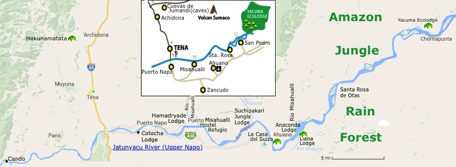jatunyacu-river, upper napo, amazon rain forest, amazon jungle, Tena, Cando, Puerto Napo, Puerto Misahualli, Ahuano, Santa Rosa, San Pedro, Jatunyacu River, Upper Napo, Rio Napo,  Ecuador, Yacuma Ecolodge, Lana Lodge, La Casa del Suizo