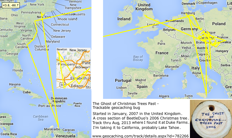 The Ghost of Christmas Trees Past, travel bug
